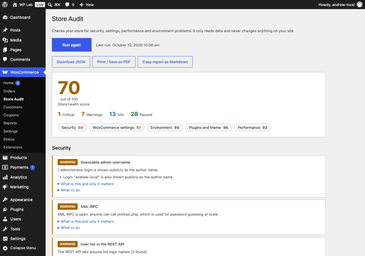 Store Audit for WooCommerce: Audit report with score