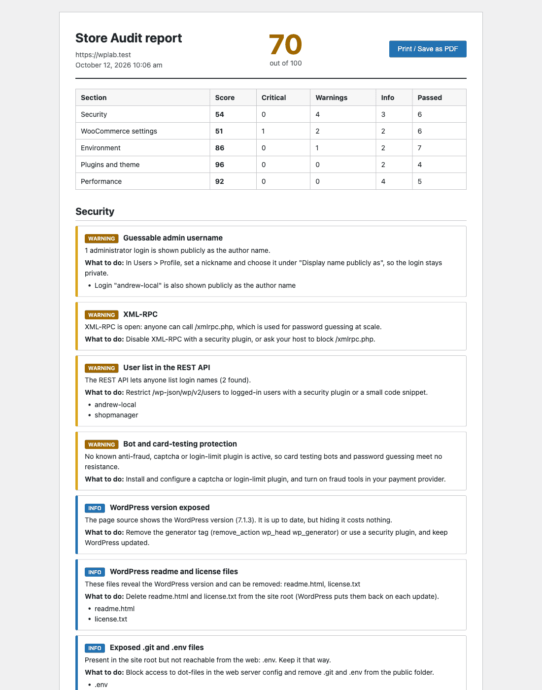Store Audit for WooCommerce: Printable report